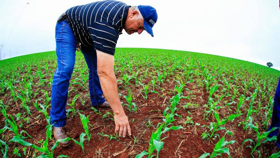 Valentim Alfredo Rosolen, produtor rural de Arapongas (PR).