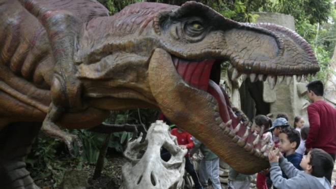 Visita a dinossauros é gratuita em Quatro Barras, mas doações para instituições beneficente são bem-vidas.