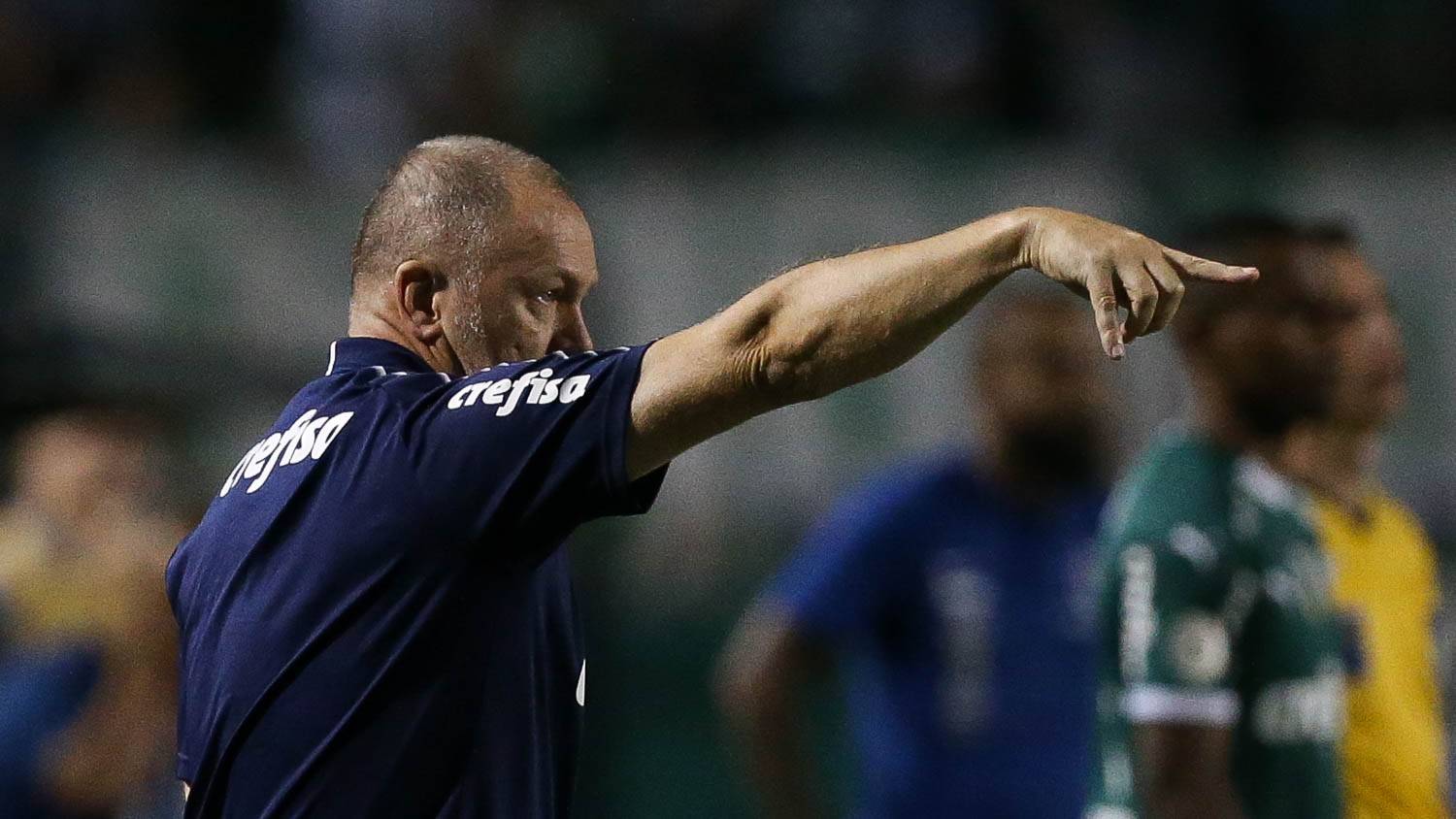 Palmeiras/Divulgação Palmeiras/Divulgação