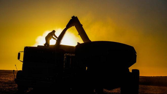 Em 2019, a safra deve totalizar 240,8 milhões de toneladas, resultado 6,3% maior que a de 2018