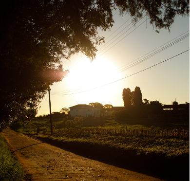 A terra de Witmarsum é fértil e vai abrigar a Casa de Saberes Artífices
Foto do Fercesar.