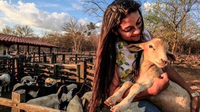 Francisca, de apenas 23 anos, é presidente da Ascobetânia (Associação de Criadores de Caprinos e Ovinos de Betânia do Piauí. Segundo ela, graças ao associativismo os produtores da região conseguiram organizar a comercialização dos animais e melhorar a renda.