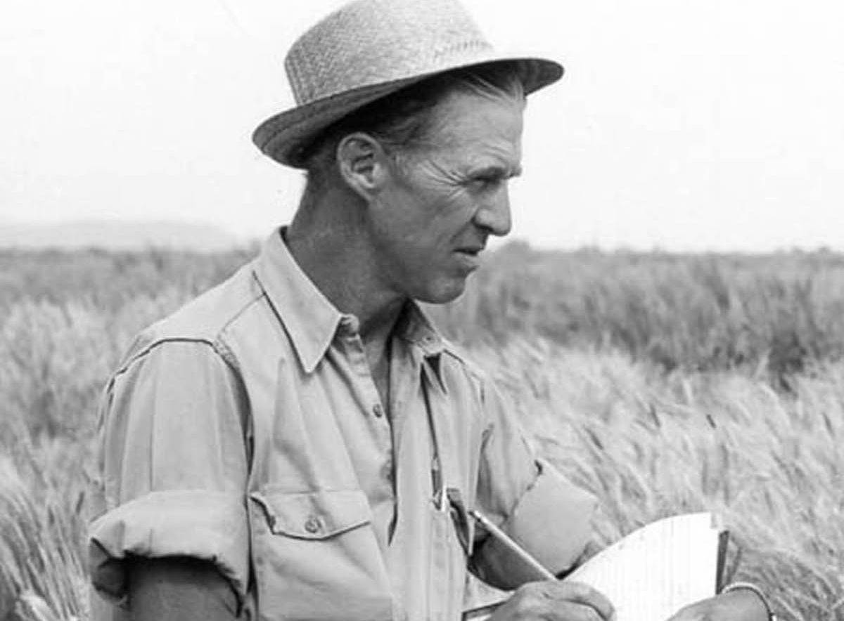 Norman Borlaug
