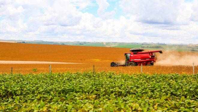 A agropecuária foi o setor com o maior crescimento no terceiro trimestre, segundo o IBGE.