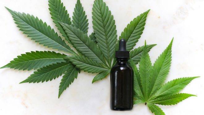 Anvisa liberou registro e venda de medicamentos à base de maconha, mas não o plantio.