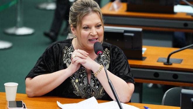 CPI das Fake News: Joice Hasselmann