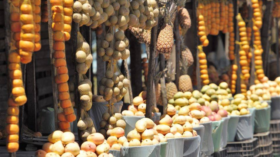 Expedição parte rumo ao Norte para retratar a produção familiar na Amazônia Expedição parte rumo ao Norte para retratar a produção familiar na Amazônia