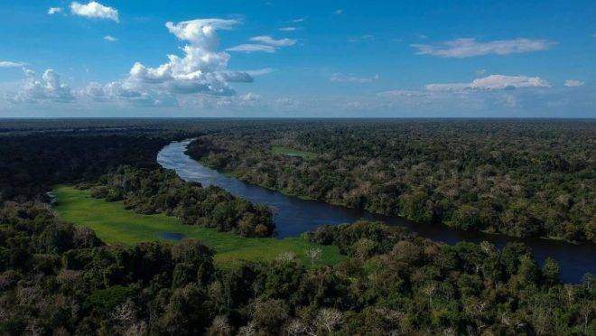 Reserva de floresta Amazônica no Brasil.