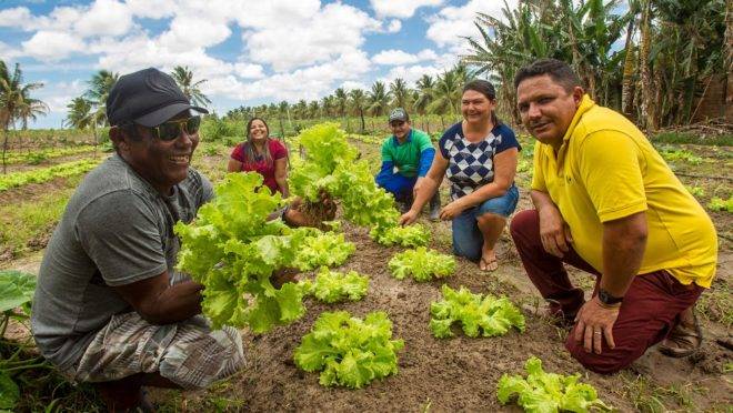 Agricultores da Cooperativa de Assentados Produtores da Agricultura Familiar de Macaíba e Adjacências (Coopafama), de Macaíba (RN), que descobriram no associativismo uma forma de valorizar as frutas e verduras que produzem e melhorar a renda das famílias. Na foto (a partir da esquerda): Elias do Nascimento Alves, Jandicleide Silva de Andrade Gomes, José Antônio da Costa Fernandes, Márcia Maria dos Santos Nascimento e Rubem da Silva Junior