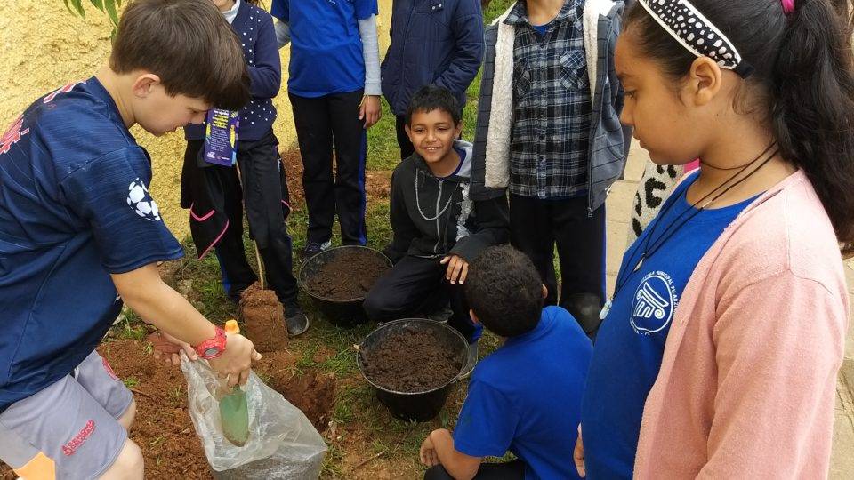 Plantando o futuro Plantando o futuro