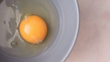 Carnes, leites e ovos: riscos das doenças transmitidas por alimentos Carnes, leites e ovos crus: os cuidados que temos que ter com a saúde
