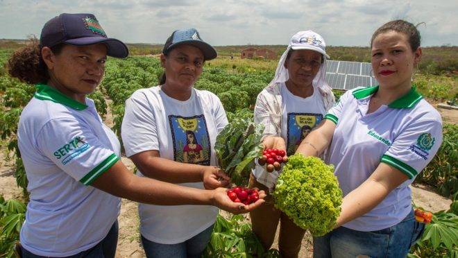 Em Delmiro Gouveia (AL), as agricultoras Erivânia Gomes Martins de Oliveira e Maria Luzineide do Nascimento (ambas ao centro) são integrantes do projeto Ser tão Mulher, que distribui painéis solares para uso na irrigação da lavoura. Na foto estão também as estudantes de Agroecologia Maria Betânia Nai do Nascimento e Carolyne Silva Monteiro.