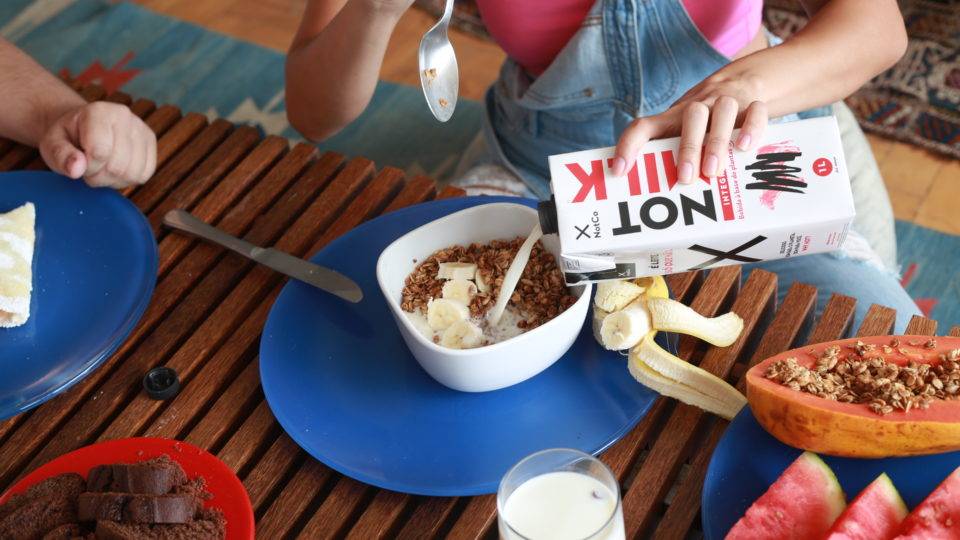 Depois de leite e maionese à base de plantas, startup quer fazer hambúrguer A companhia já lançou o leite Not Milk, maionese Not Mayo e sorvete Not IceCream.