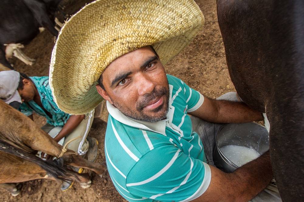Cesar Brito da Silveira, pecuarista de Gararu (SE), aposta na agroindústria para melhorar a renda, pois o valor do leite cru é muito baixo na região, segundo ele. Foto: Rogério Machado/Gazeta do Povo Cesar Brito da Silveira, pecuarista de Gararu (SE), aposta na agroindústria para melhorar a renda, pois o valor do leite cru é muito baixo na região, segundo ele. Foto: Rogério Machado/Gazeta do Povo