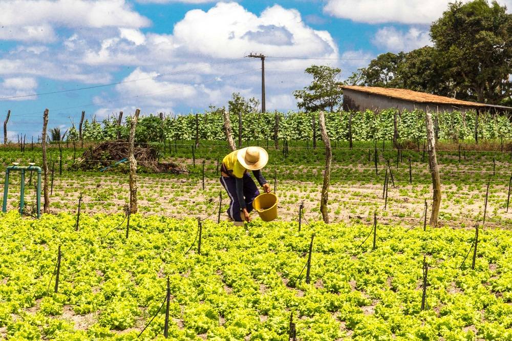 Itabaiana também é um centro de distribuição logística de produtos e está para inaugurar um Ceasa em breve, o que deve organizar a distribuição dos produtos agrícolas na região. Foto: Rogério Machado/Gazeta do Povo Itabaiana também é um centro de distribuição logística de produtos e está para inaugurar um Ceasa em breve, o que deve organizar a distribuição dos produtos agrícolas na região. Foto: Rogério Machado/Gazeta do Povo