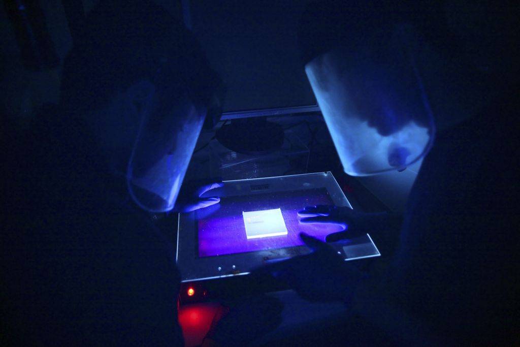 Professores da Universidade Stanford observam exemplar de RNA programado por jogadores: brincadeira pode resultar em avanços como o desenvolvimento de um supe rcomputador e a desativação de vírus | Jim Wilson/The New York Times