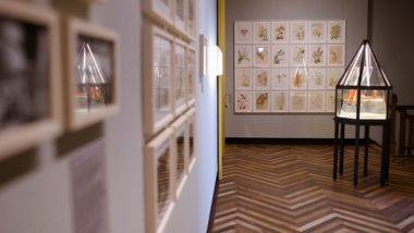 Museu Paranaense, no Largo da Ordem, é opção de turismo histórico.