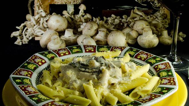 Penne ao Funghi da Ricciardi Massas, uma delíciaPenne ao Funghi da Ricciardi Massas, uma delíciaPenne ao Funghi da Ricciardi Massas, uma delícia