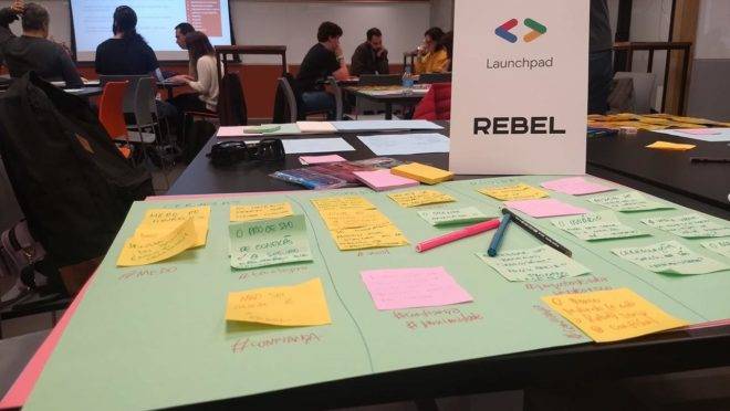 Rebel vai participar de programa de aceleração da Endeavor. Foto: Divulgação