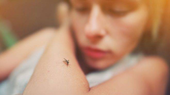 Febre amarela: quando devo me vacinar?