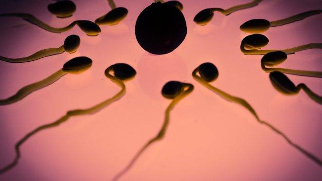 A indústria da fertilidade parece ter decido “terceirizar a ética” e realizar estudos controversos com mulheres pobres em países de Terceiro Mundo, como o México.