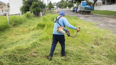 MP pede investigação de licitação de Curitiba para serviços de roçada MP apura possível irregularidade em licitação para roçada e limpeza feita pela prefeitura de Curitiba.