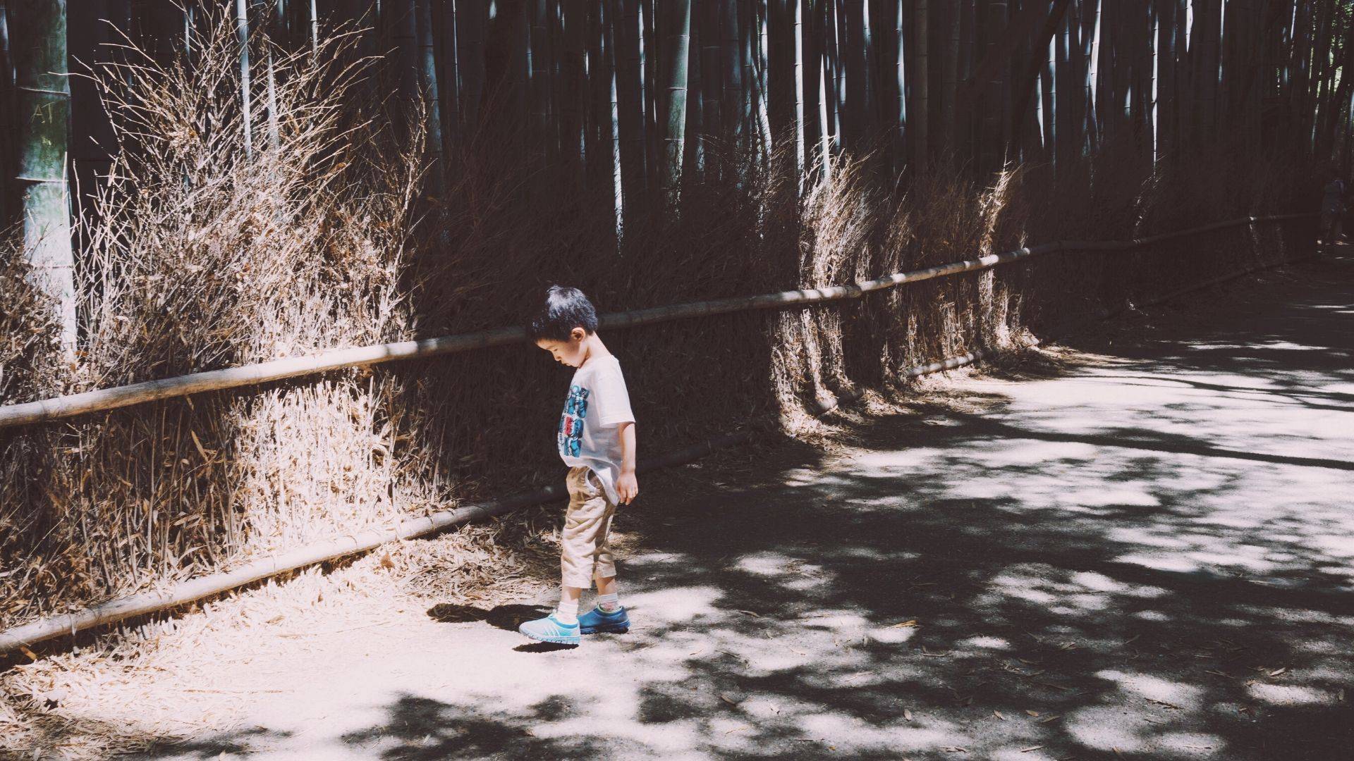 Imagem referente a matéria