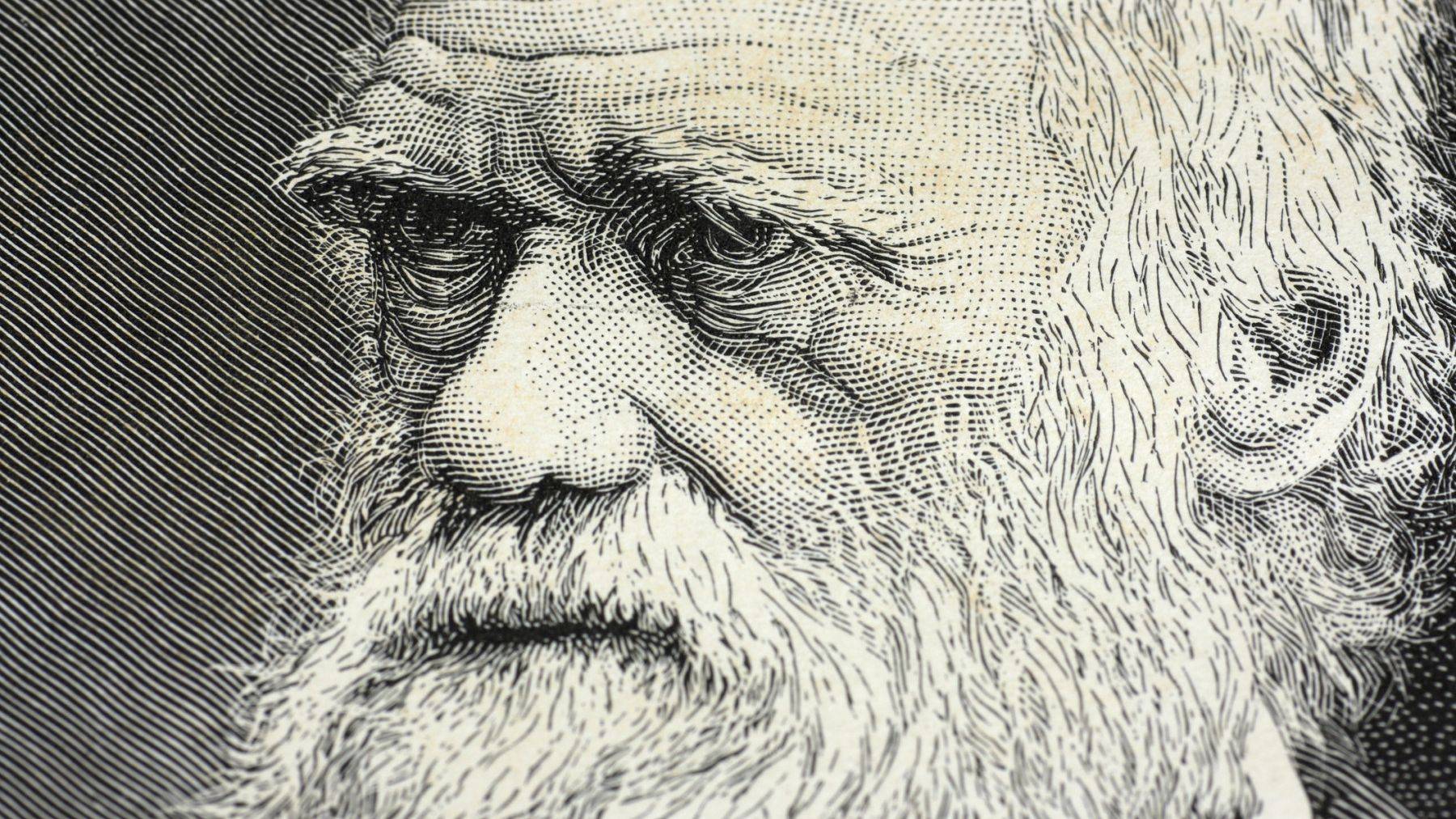 Charles Darwin, autor da Teoria da Evolução