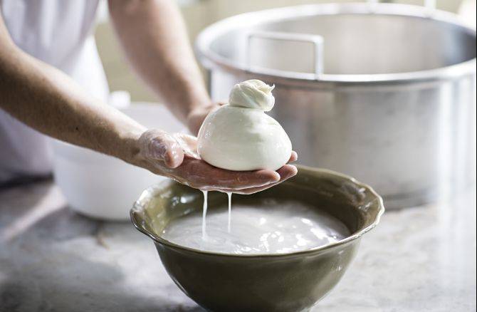 A burrata pode ter vários tamanhos - de 100g a 1kg. O quilo custa cerca de R$ 100. Foto: Alexandre Mazzo / Gazeta do Povo A burrata pode ter vários tamanhos - de 100g a 1kg. O quilo custa cerca de R$ 100. Foto: Alexandre Mazzo / Gazeta do Povo
