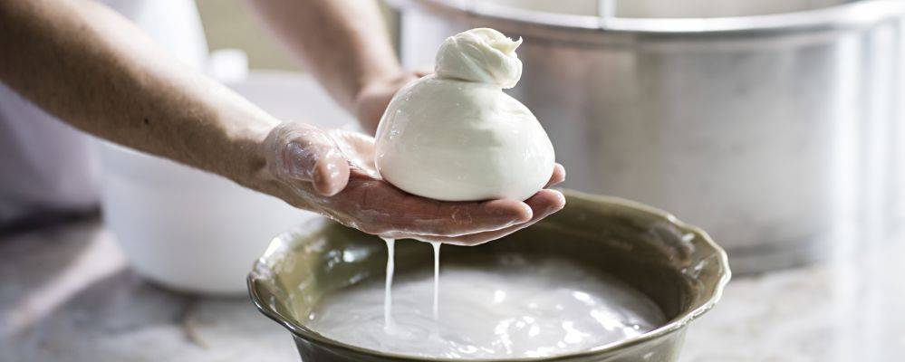 Depois de pronta, a burrata dura em média cinco dias na geladeira.  Foto: Alexandre Mazzo / Gazeta do Povo