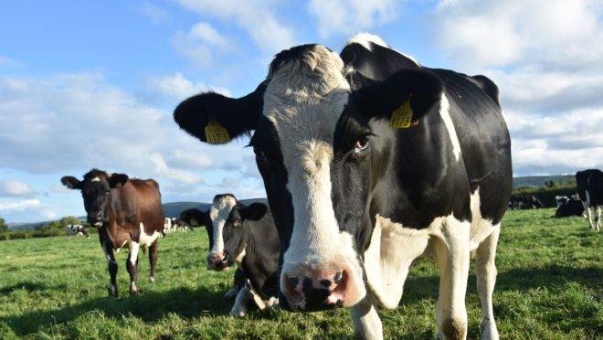 O mundo descobriu que o agronegócio é mais “negócio” do que “agro”.