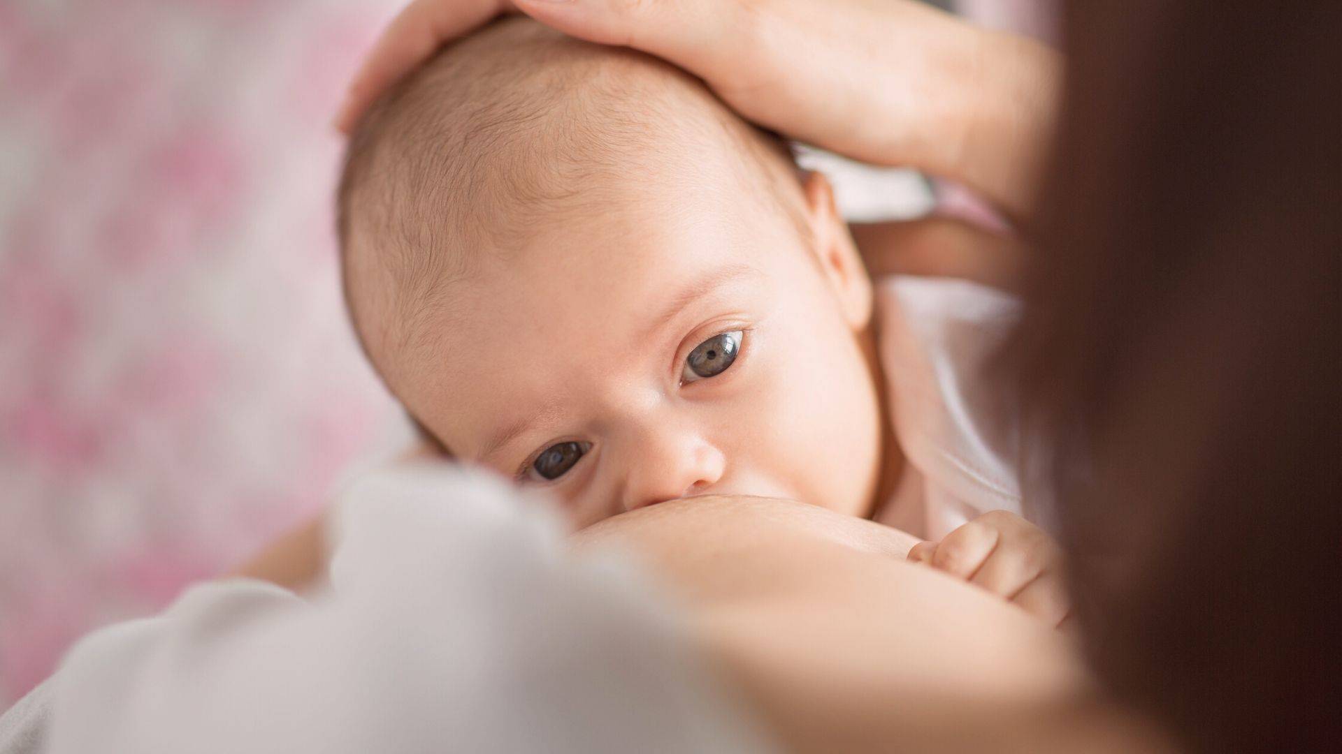 Imagem referente a matéria