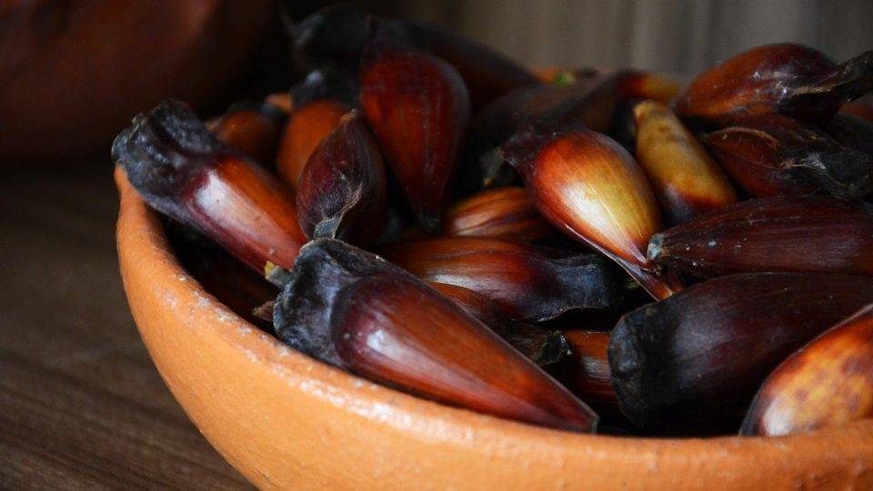 Aprenda como preparar o pinhão cozido perfeito como preparar o pinhão cozido perfeito