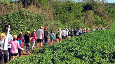 Caminhada pela natureza