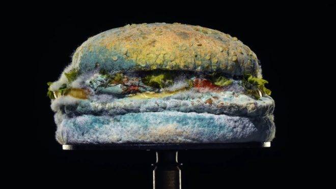 Whopper dia 34.