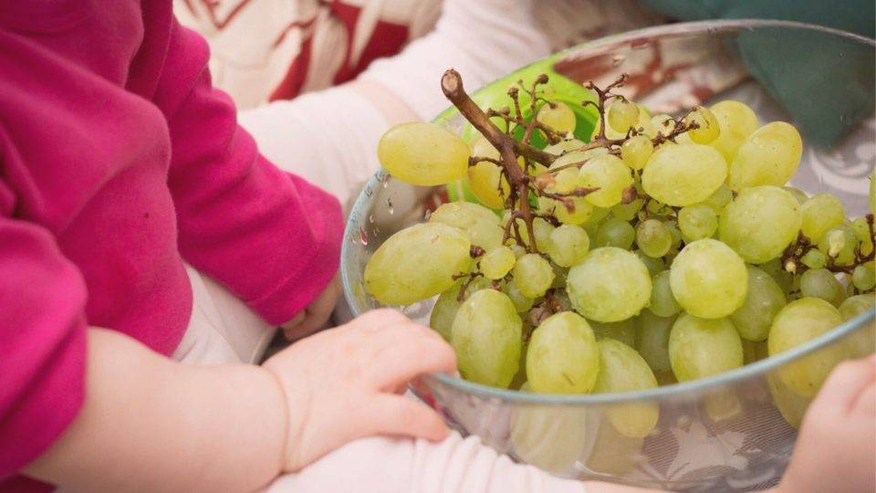 Bebês altruístas: característica é inata ou moldada pela família? Estudo norte-americano mostra como bebês agem altruisticamente, mesmo em momentos de fome, e diante de estranhos