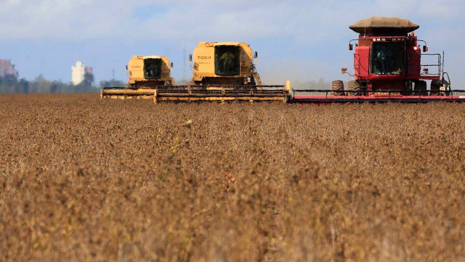 Empregos no agronegócio: por enquanto mais uma vitória do setor PIB baixo