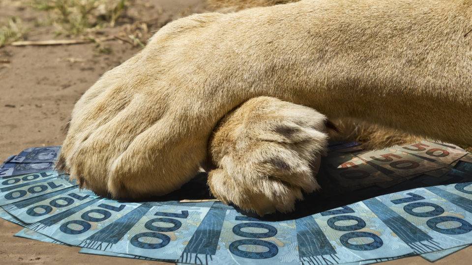 Quais são os impostos do Brasil e quanto eles pesam no bolso do contribuinte