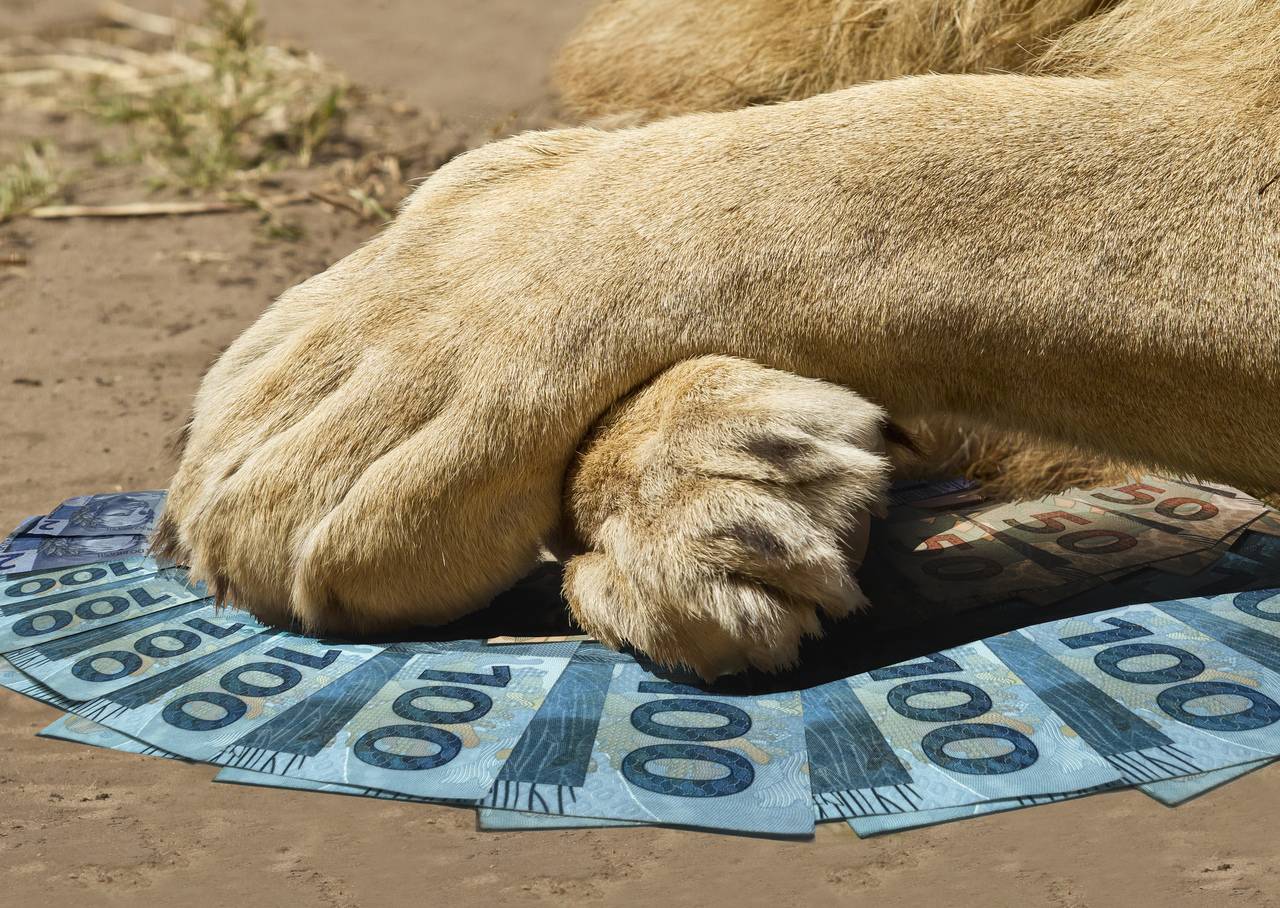 Quais são os impostos do Brasil e quanto eles pesam no bolso do contribuinte