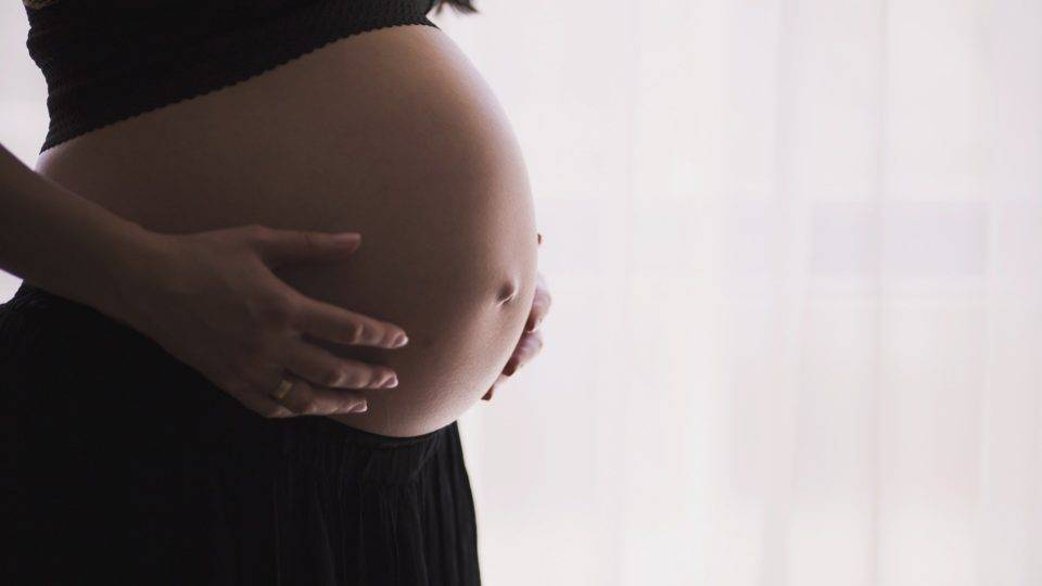 Partido aciona STF para definir licença-maternidade a partir de alta hospitalar Partido aciona STF para definir licença-maternidade a partir de alta hospitalar