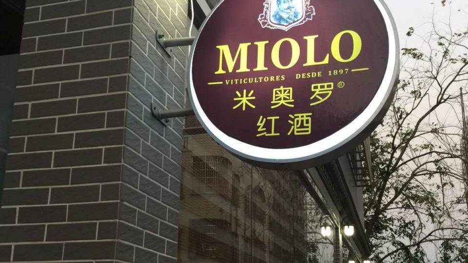 Miolo loja China