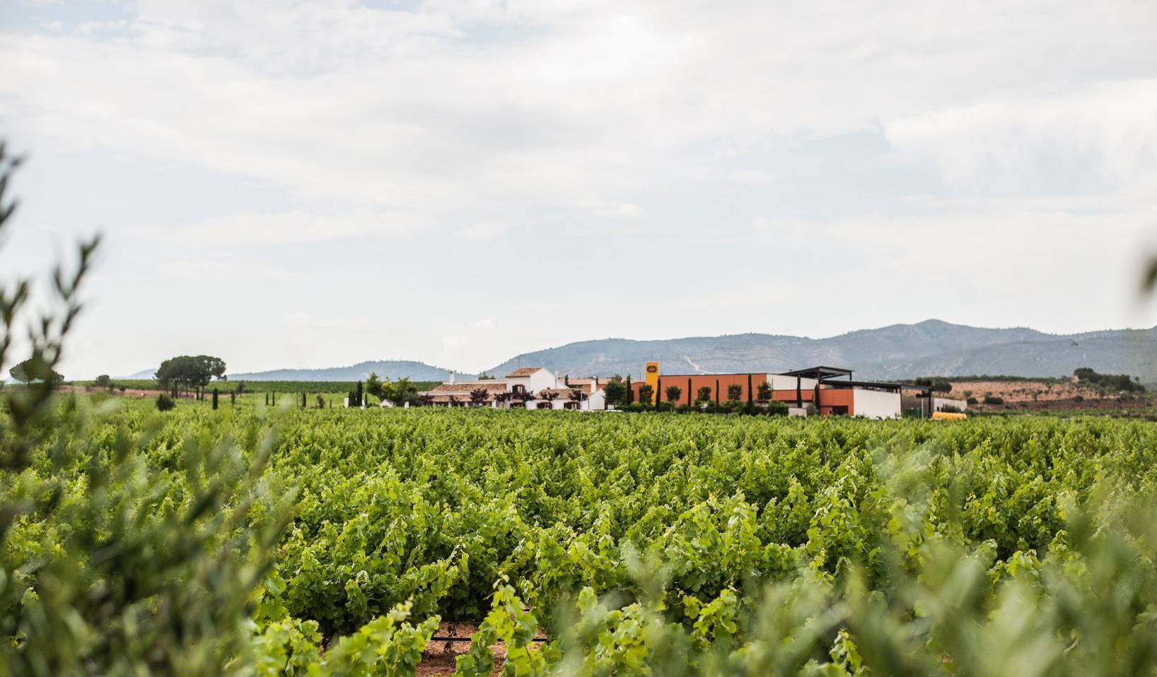 A Bodega Chozas Carrascal fica na região da Valencia, Espanha, com vinhedos de até 840m de altitude. A Bodega Chozas Carrascal fica na região da Valencia, Espanha, com vinhedos de até 840m de altitude.