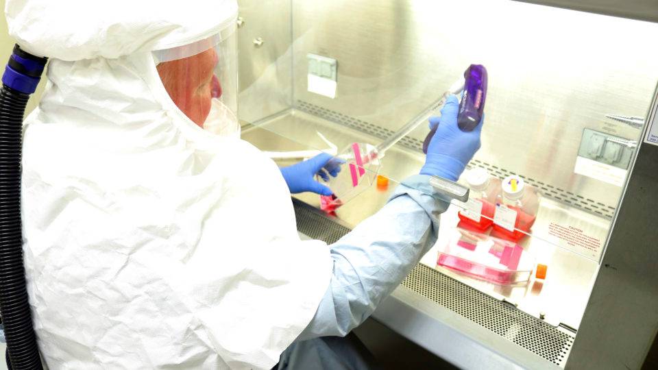 Voluntários vão testar primeira vacina contra o novo coronavírus vacina coronavirus