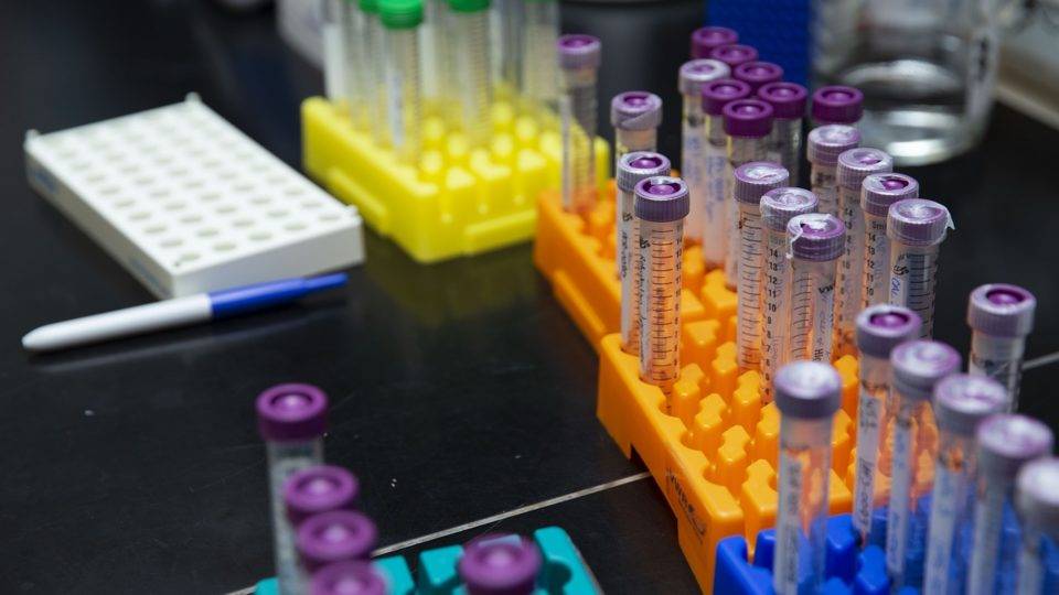 Ministério da Saúde vai distribuir mais de 22 milhões de testes contra coronavírus.