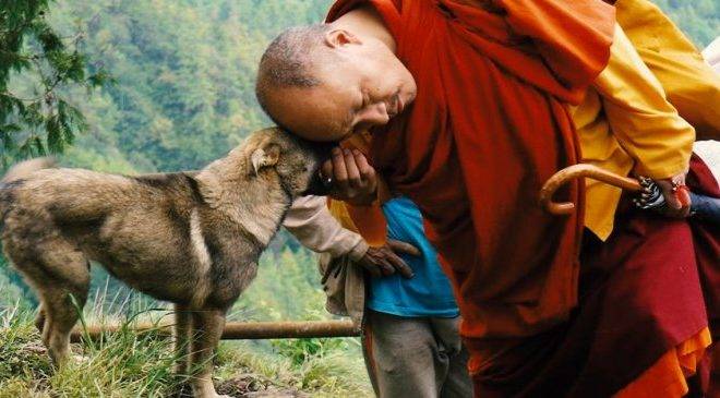 Fotos: Tulku Thondup/Reprodução