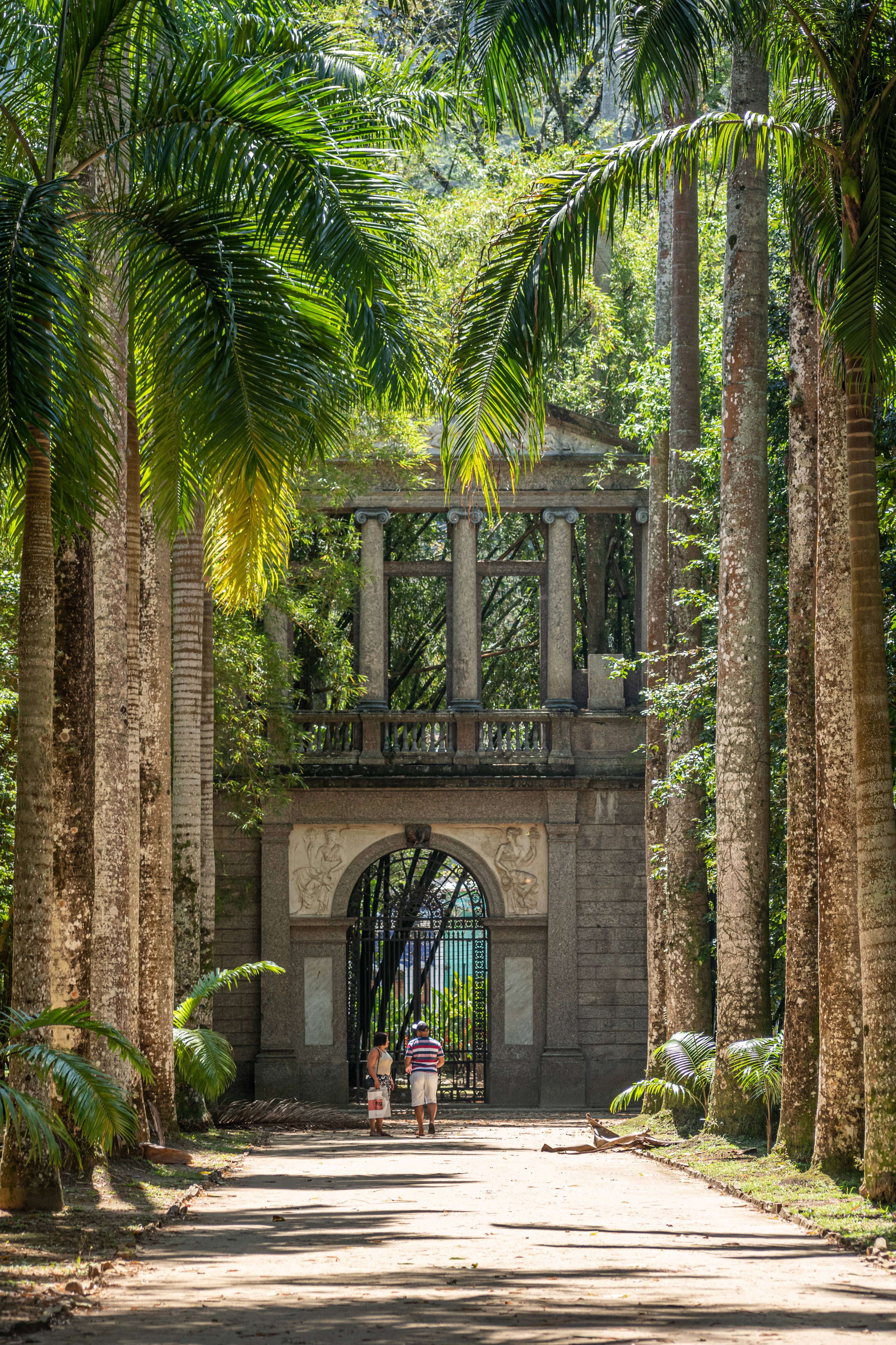 Jardim Botânico, no Rio de Janeiro, conta com palmeiras imperiais gigantes,<br />que alcançam até 30 metros de altura. Foto: Bigstock Jardim Botânico, no Rio de Janeiro, conta com palmeiras imperiais gigantes,<br />que alcançam até 30 metros de altura. Foto: Bigstock