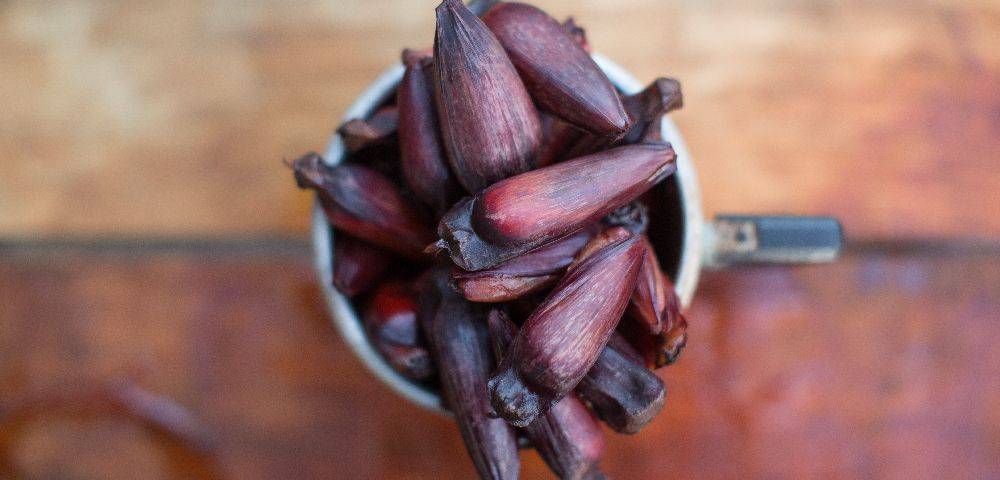 Pinhão: eleito a comida que é a cara de Curitiba.