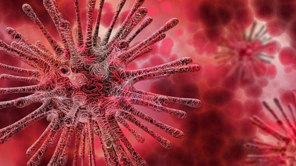 Inimigo íntimo: a história da relação entre a humanidade e os micro-organismos Temos mais micro-organismos em nosso corpo do que células. E apenas uma parcela ínfima deles nos faz mal.