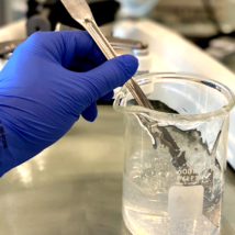 Oásis em meio à crise: os setores da economia imunes aos efeitos do coronavírus