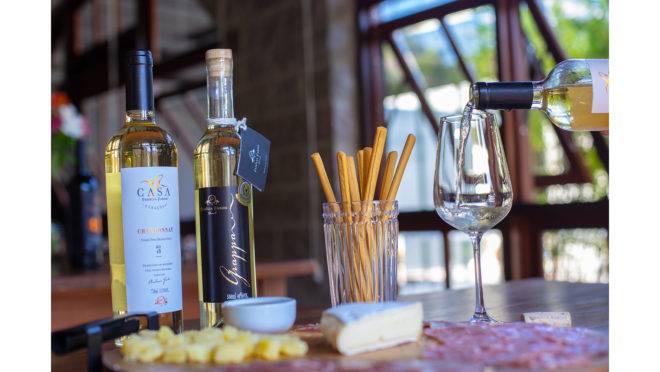 Veja ótimas sugestões de vinhos para apreciar em dias quentes